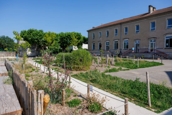 VEGETALISATION DE LA COUR D'ECOLE DE LA ROUBINE